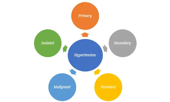 different-types-of-hypertension.webp
